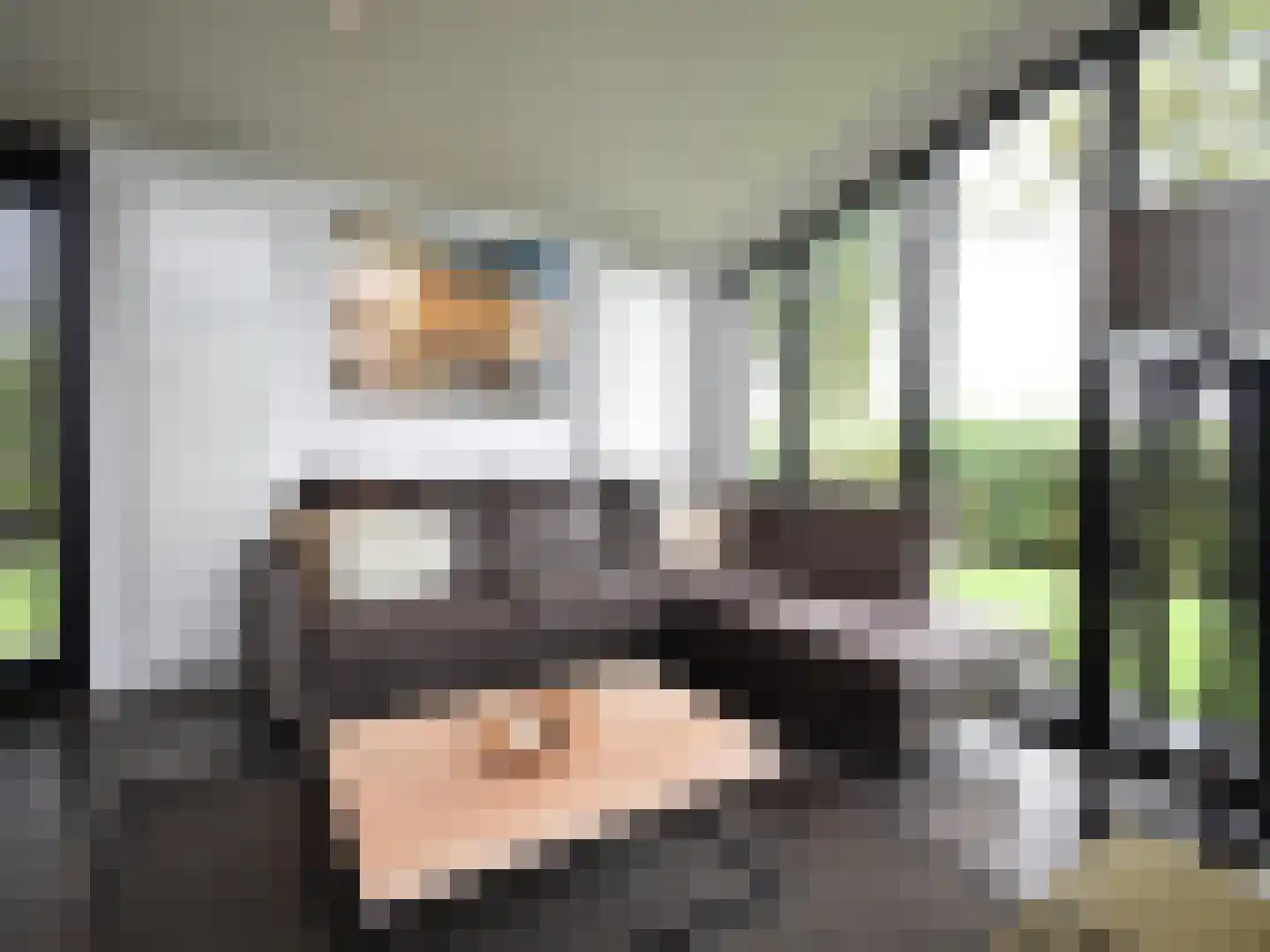 Peuterdijk 50 11 Herkingen thumbnail 5