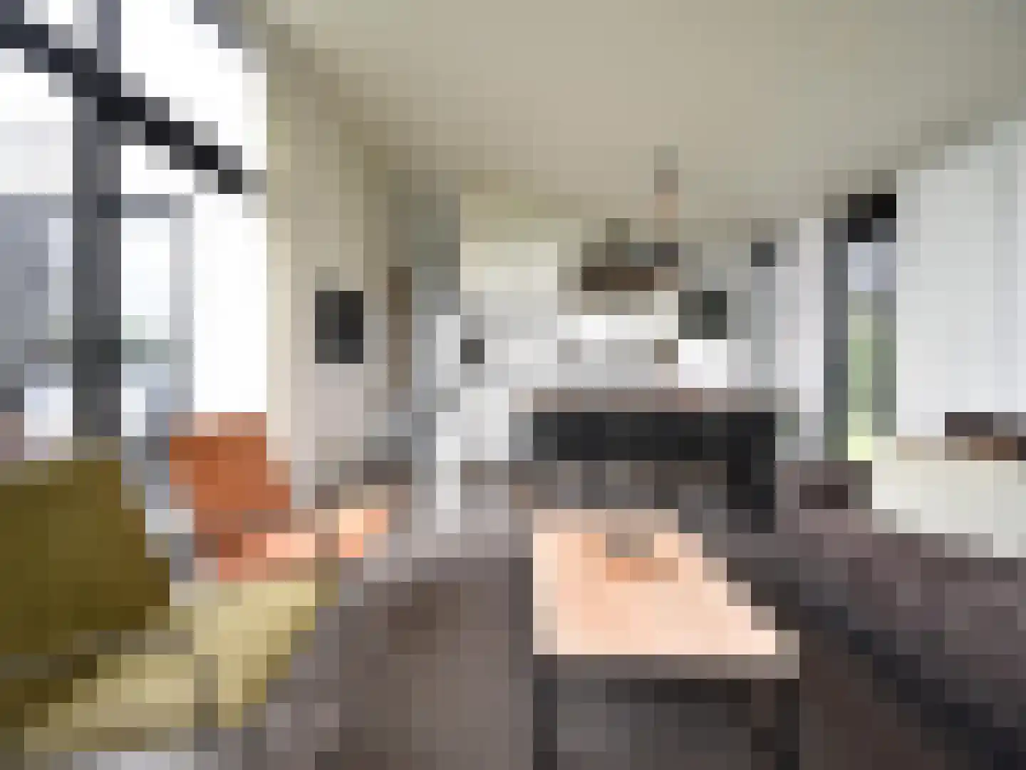 Peuterdijk 50 11 Herkingen thumbnail 8