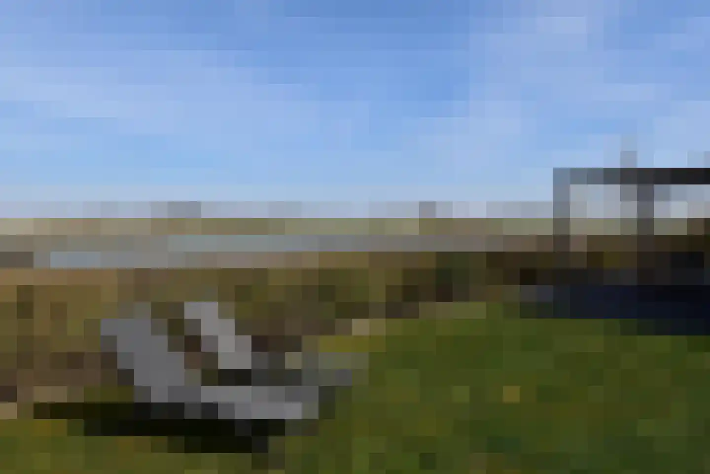 Peuterdijk 50 21 Herkingen thumbnail 23