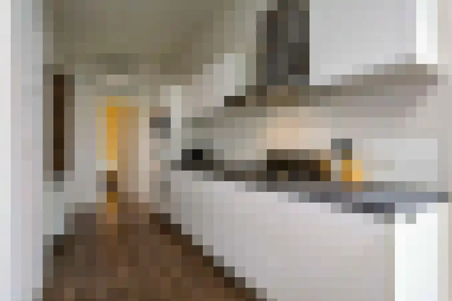 Peuterdijk 50 47 Herkingen thumbnail 11