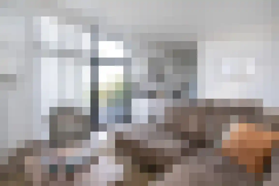 Peuterdijk 50 52 Herkingen thumbnail 18