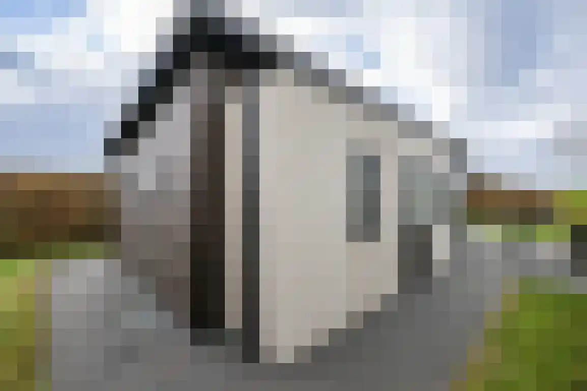 Peuterdijk 50 52 Herkingen thumbnail 9