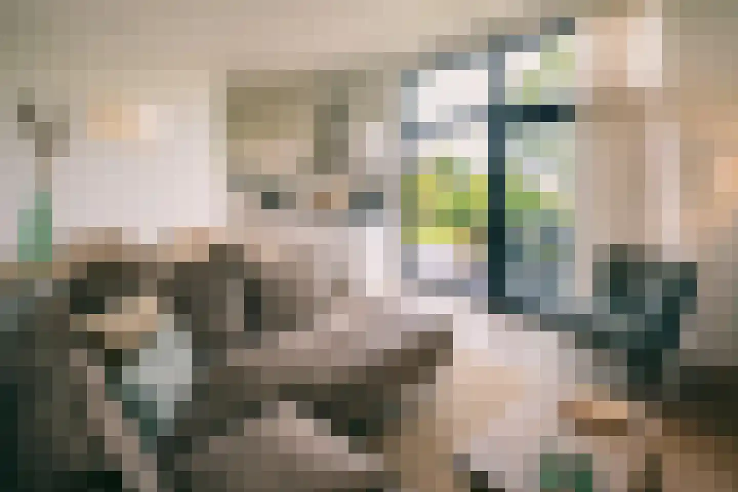 Peuterdijk 50 56 Herkingen thumbnail 5