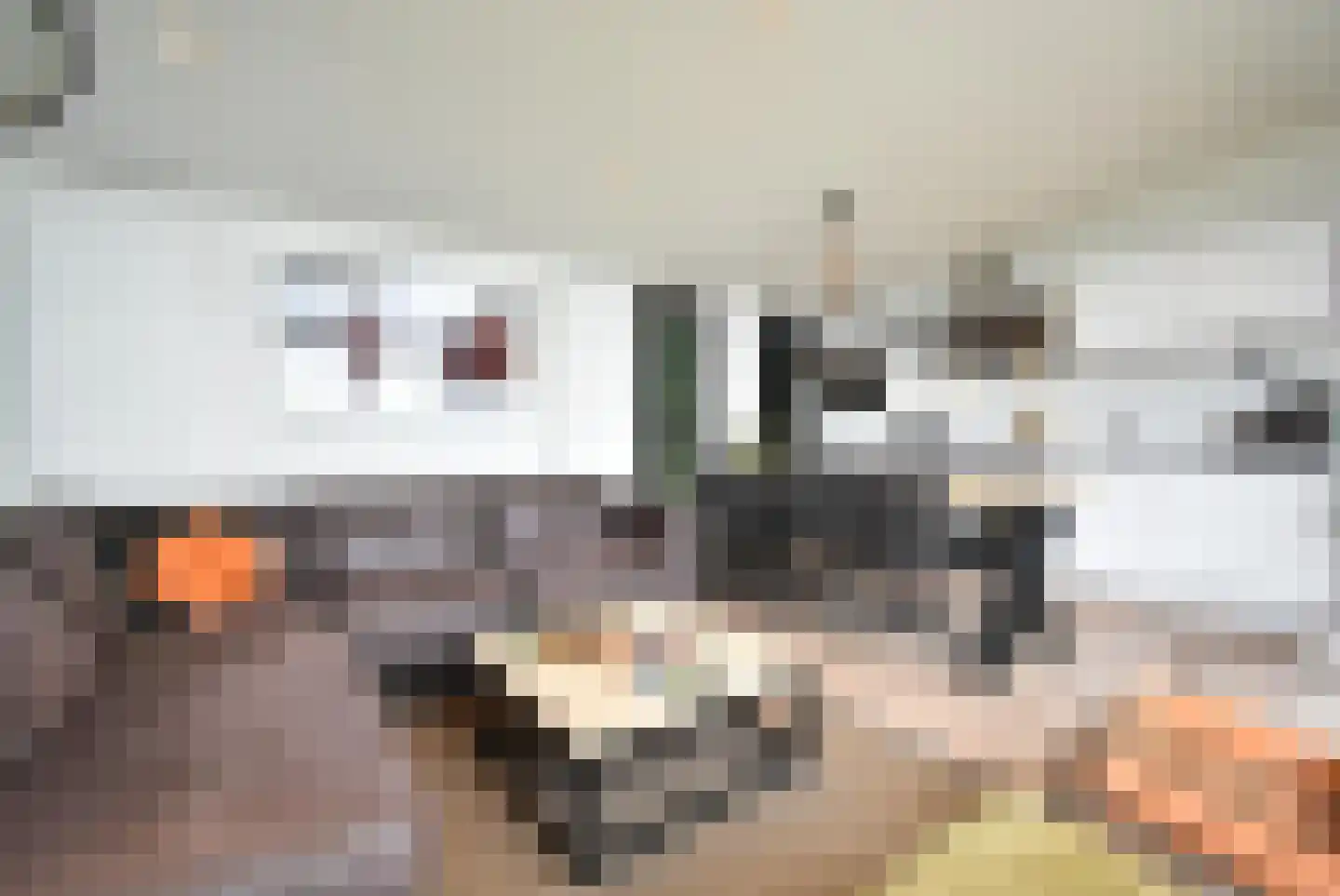 Peuterdijk 50 63 Herkingen thumbnail 4