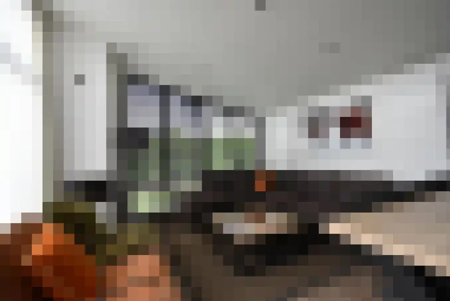 Peuterdijk 50 63 Herkingen thumbnail 8