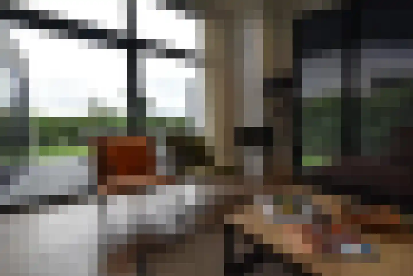 Peuterdijk 50 63 Herkingen thumbnail 9