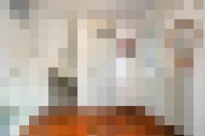 Peutingerpad 1 Eindhoven thumbnail 10