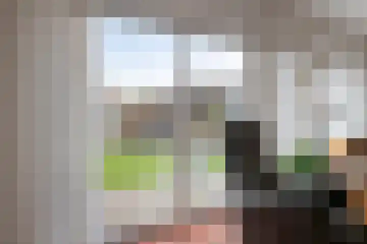 Peutingerpad 1 Eindhoven thumbnail 13