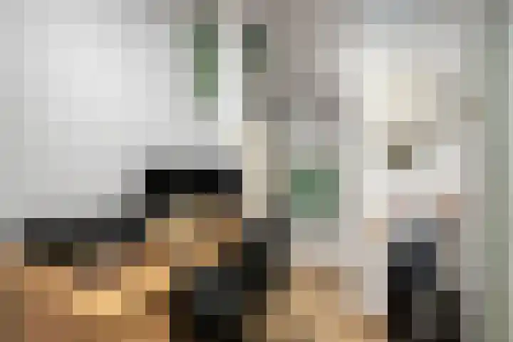 Peutingerpad 1 Eindhoven thumbnail 16