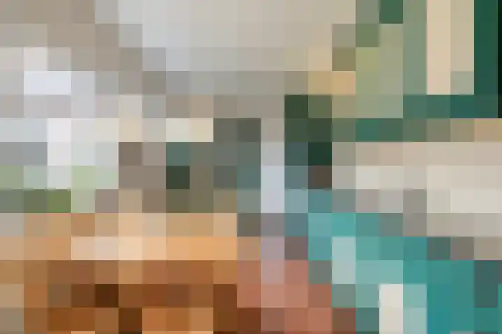 Peutingerpad 1 Eindhoven thumbnail 17
