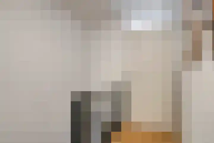 Peutingerpad 1 Eindhoven thumbnail 22