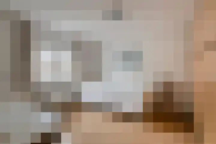 Peutingerpad 1 Eindhoven thumbnail 28