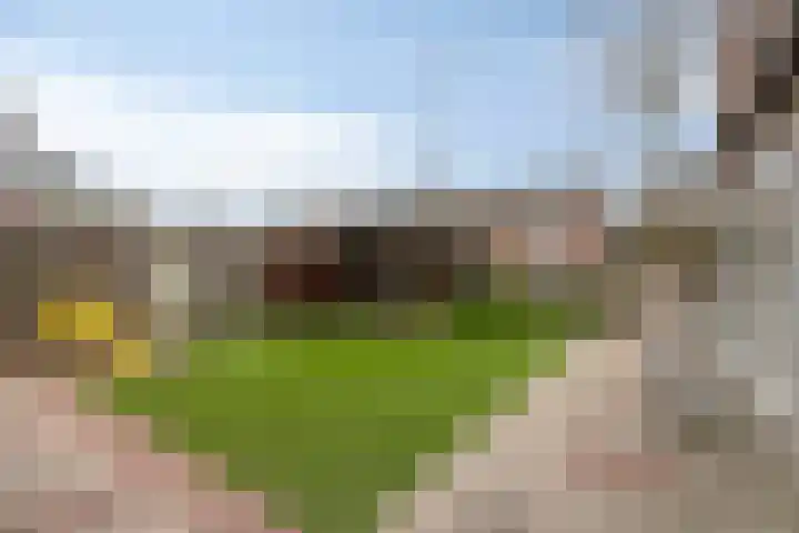 Peutingerpad 1 Eindhoven thumbnail 33