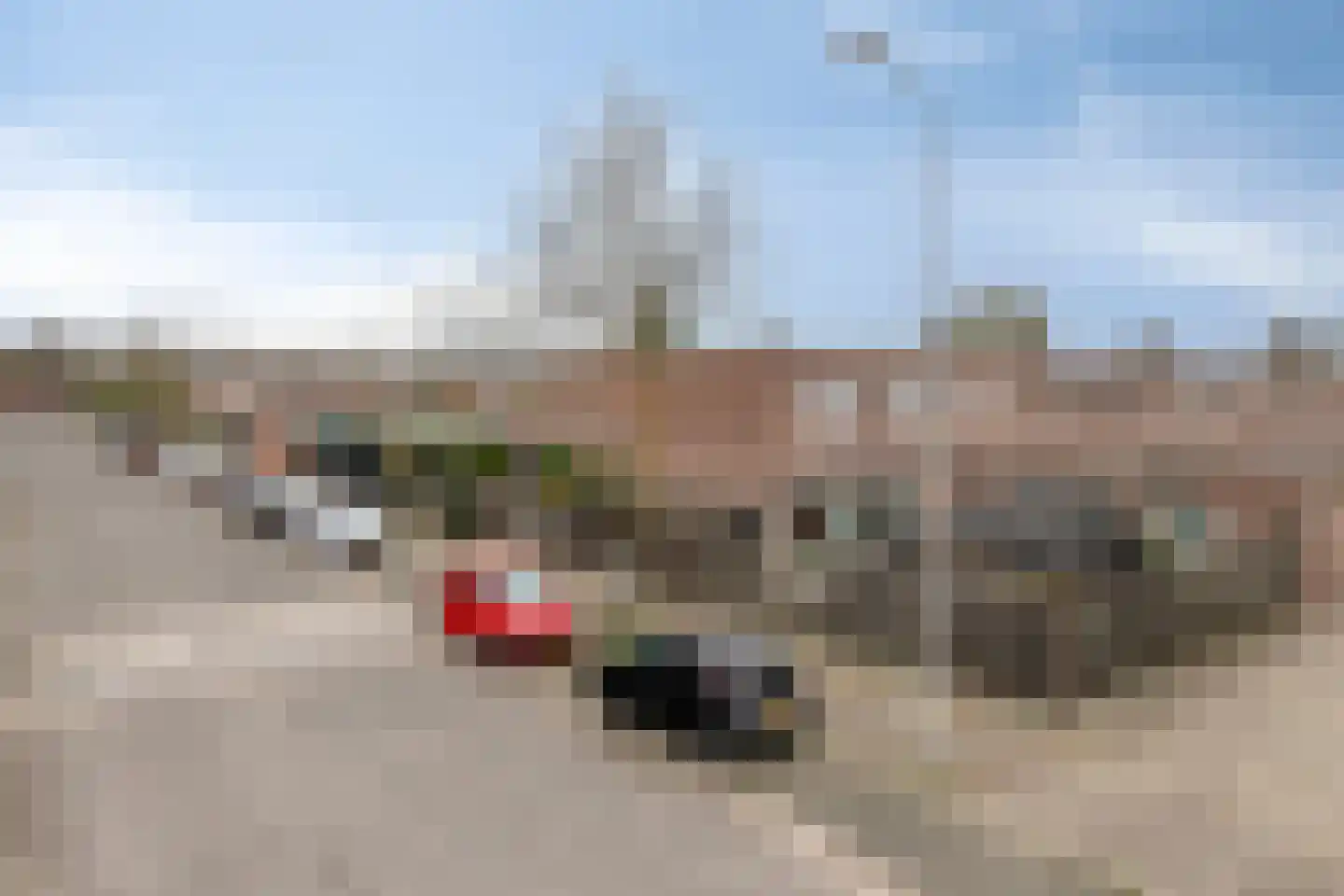 Peutingerpad 1 Eindhoven thumbnail 39
