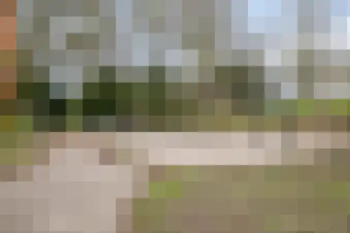 Peutingerpad 1 Eindhoven thumbnail 41