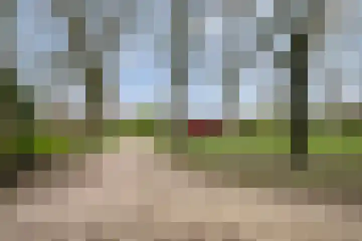 Peutingerpad 1 Eindhoven thumbnail 42