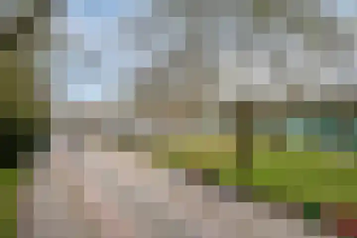 Peutingerpad 1 Eindhoven thumbnail 43