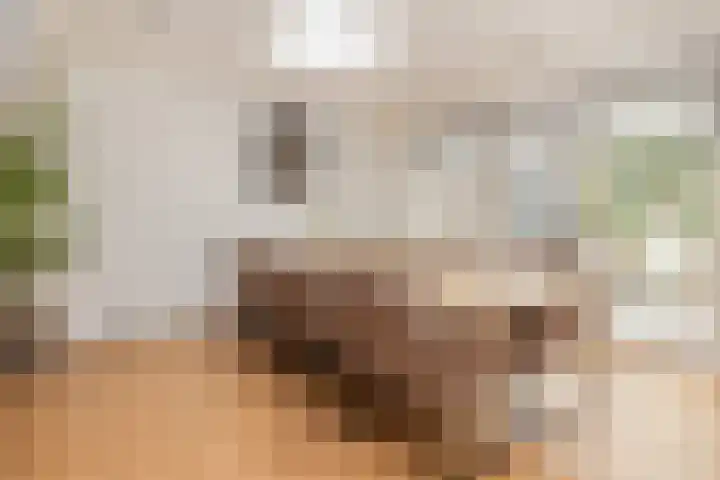 Peutzstraat 31 Heerlen thumbnail 16