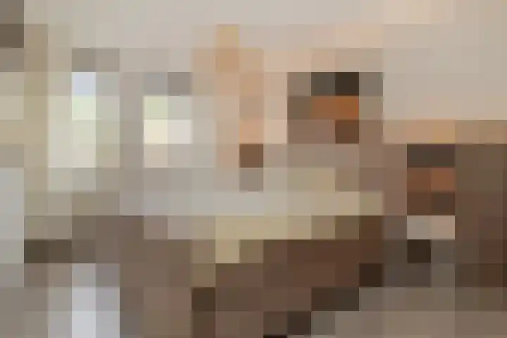 Peutzstraat 31 Heerlen thumbnail 21
