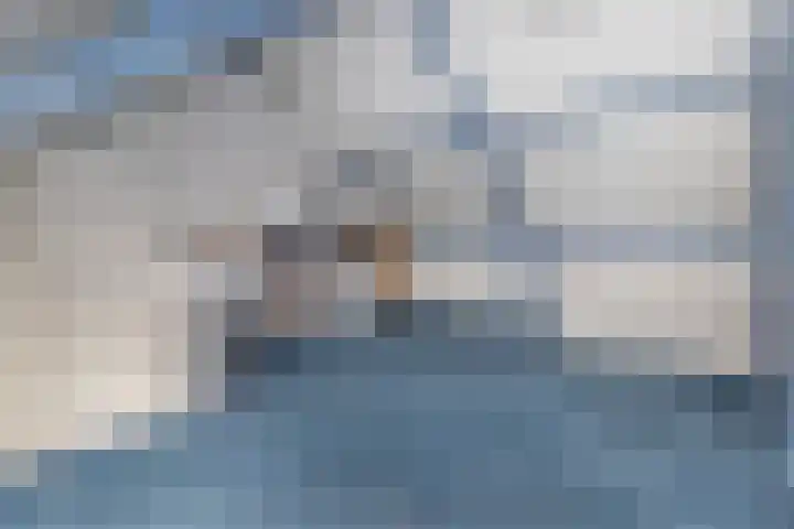 Peutzstraat 31 Heerlen thumbnail 31