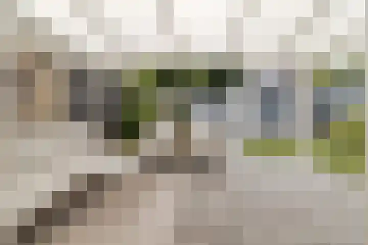 Peutzstraat 31 Heerlen thumbnail 36
