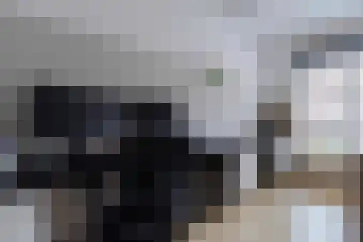 Peutzstraat 47 Heerlen thumbnail 30