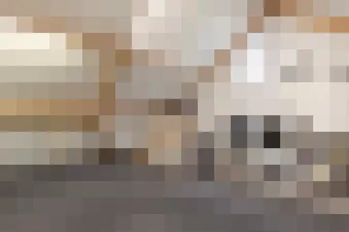 Peutzstraat 47 Heerlen thumbnail 34