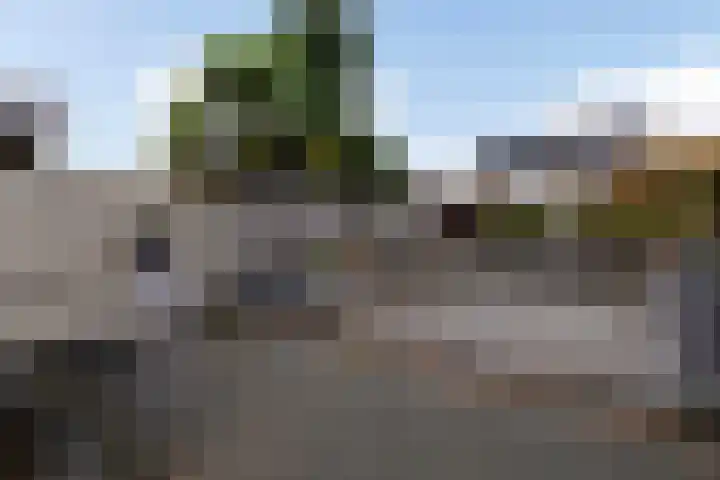 Peutzstraat 47 Heerlen thumbnail 37