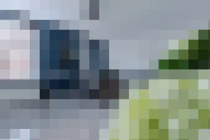 Peutzstraat 47 Heerlen thumbnail 9