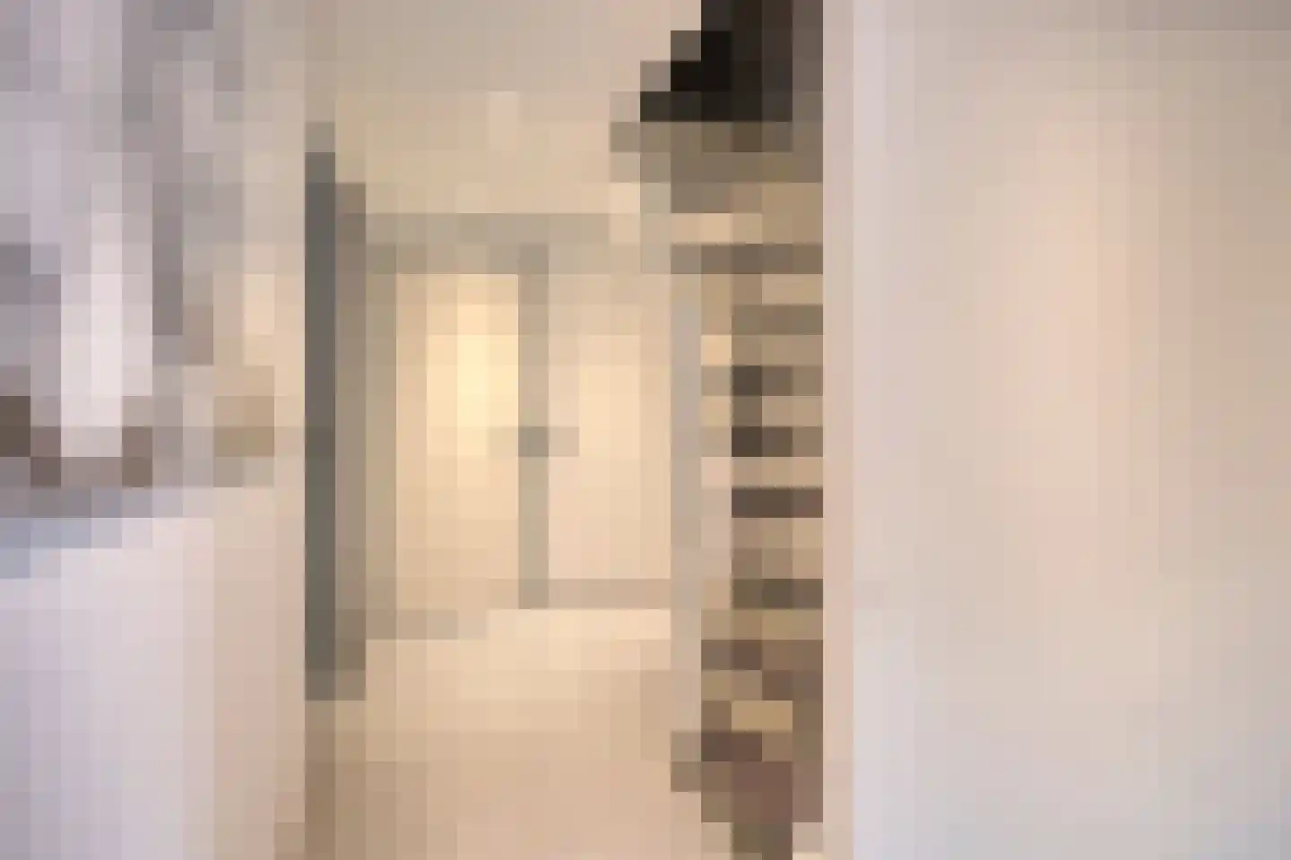 Peutzstraat 48 Heerlen thumbnail 30