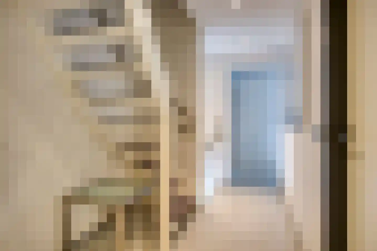 Peutzstraat 48 Heerlen thumbnail 31