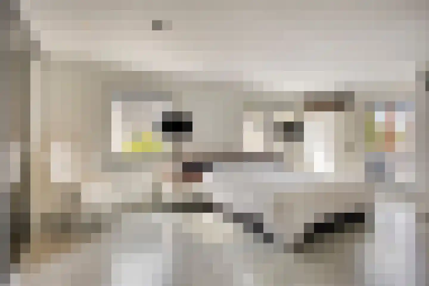 Peutzstraat 48 Heerlen thumbnail 32