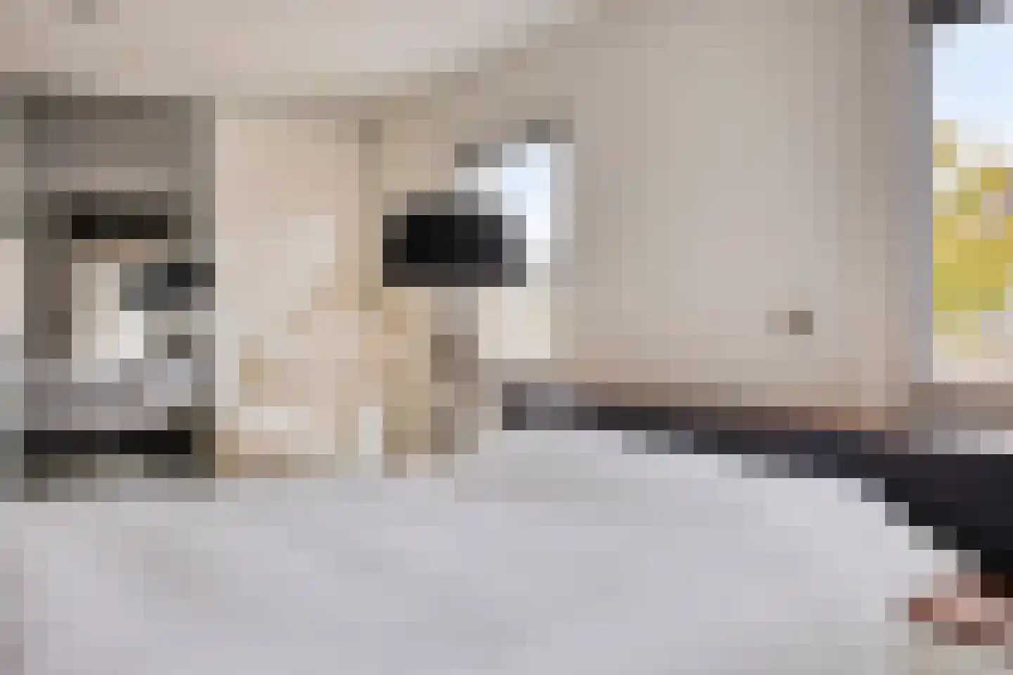 Peutzstraat 48 Heerlen thumbnail 34