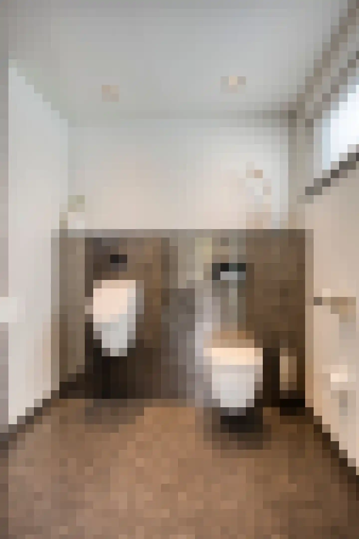 Peutzstraat 48 Heerlen thumbnail 35