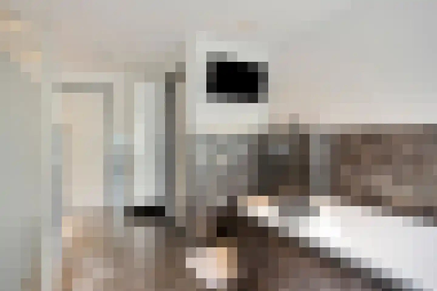 Peutzstraat 48 Heerlen thumbnail 39