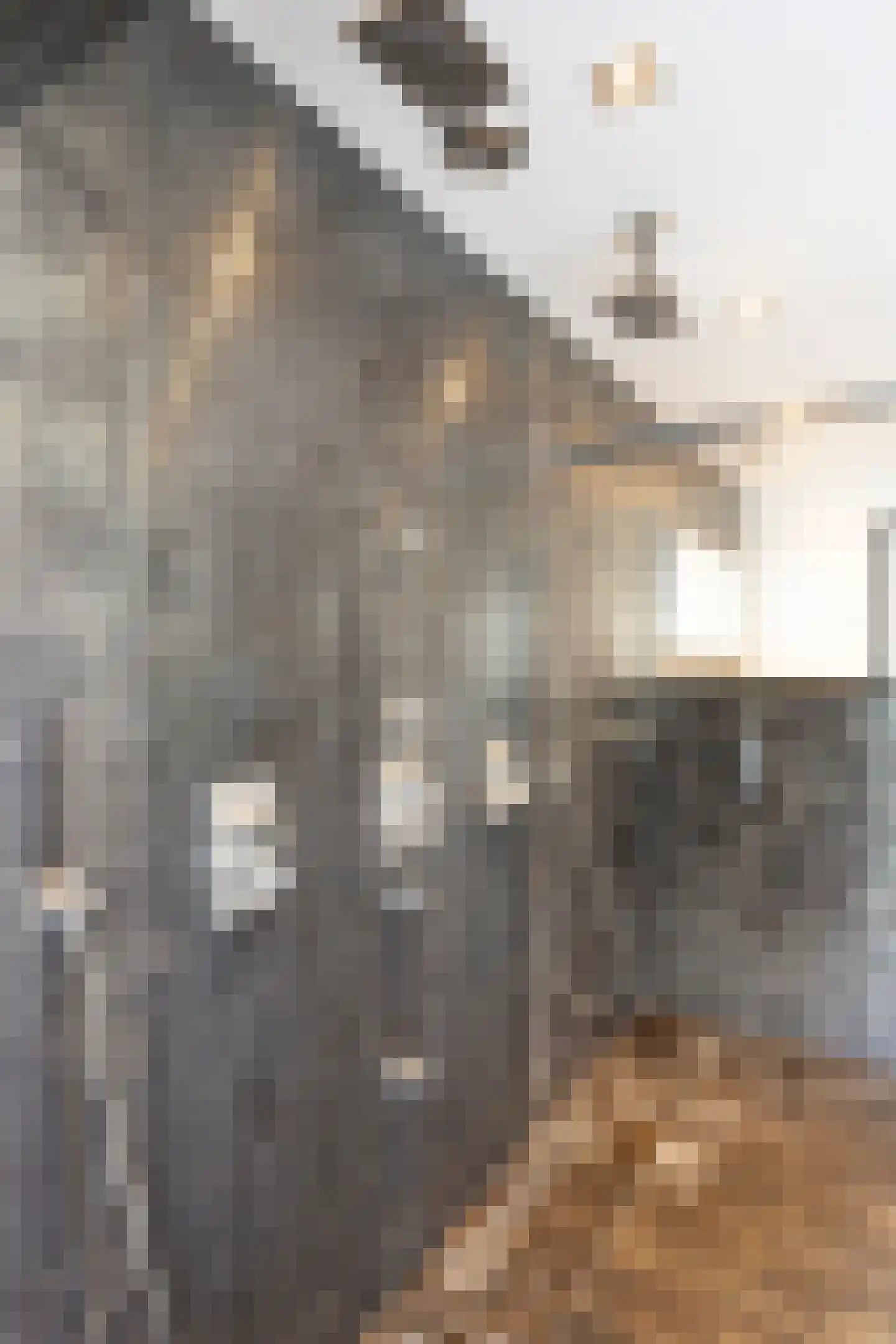 Peutzstraat 48 Heerlen thumbnail 42