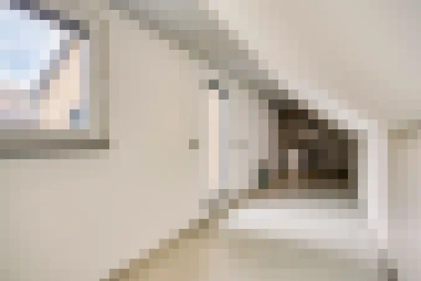 Peutzstraat 48 Heerlen thumbnail 46