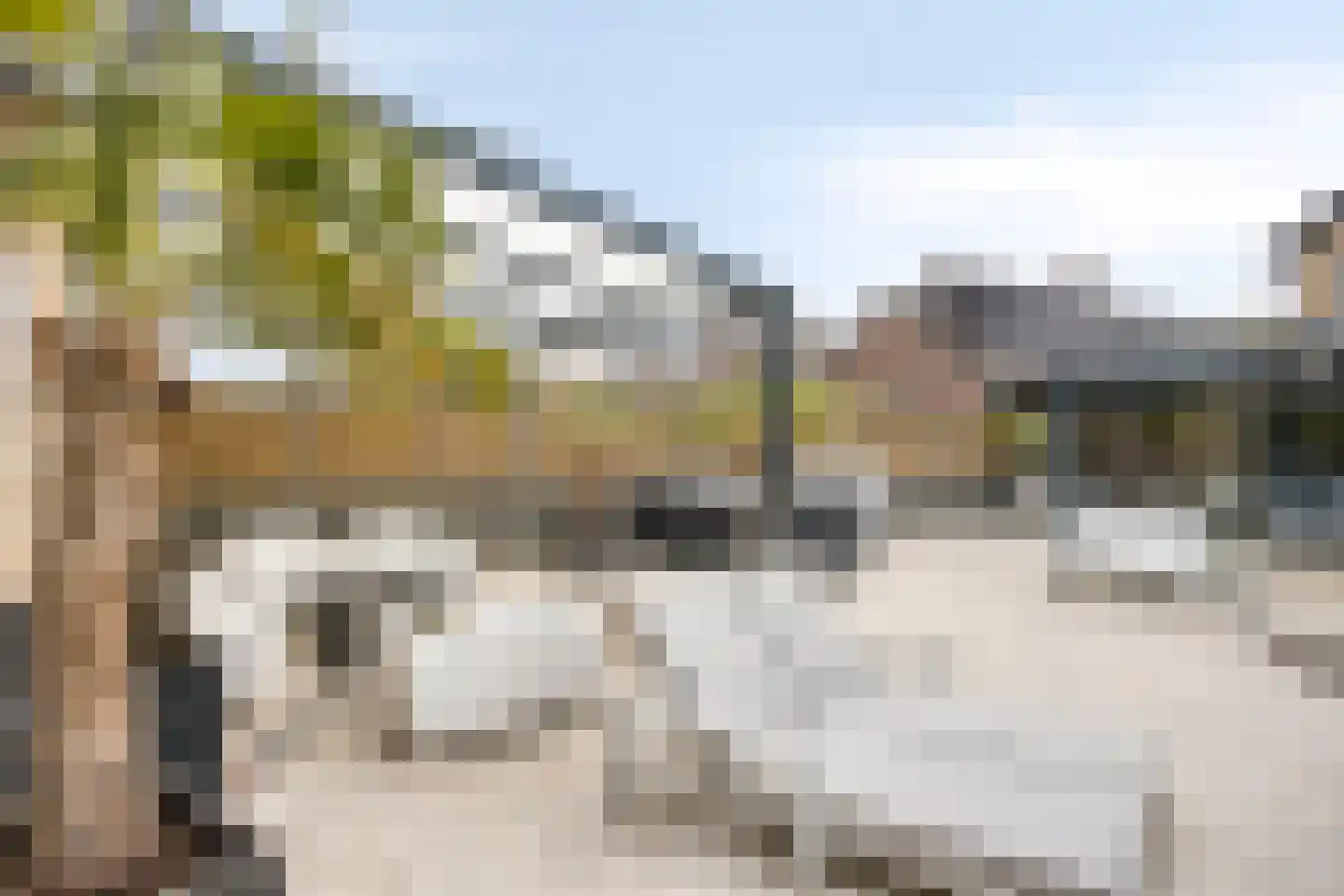Peutzstraat 48 Heerlen thumbnail 70