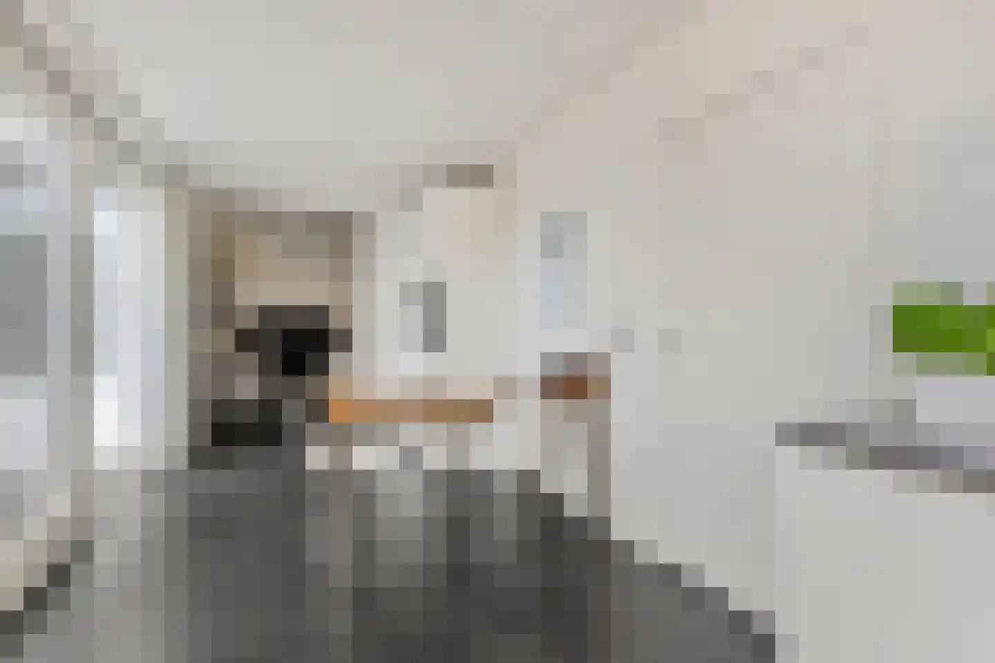 Peutzstraat 49 Heerlen thumbnail 8