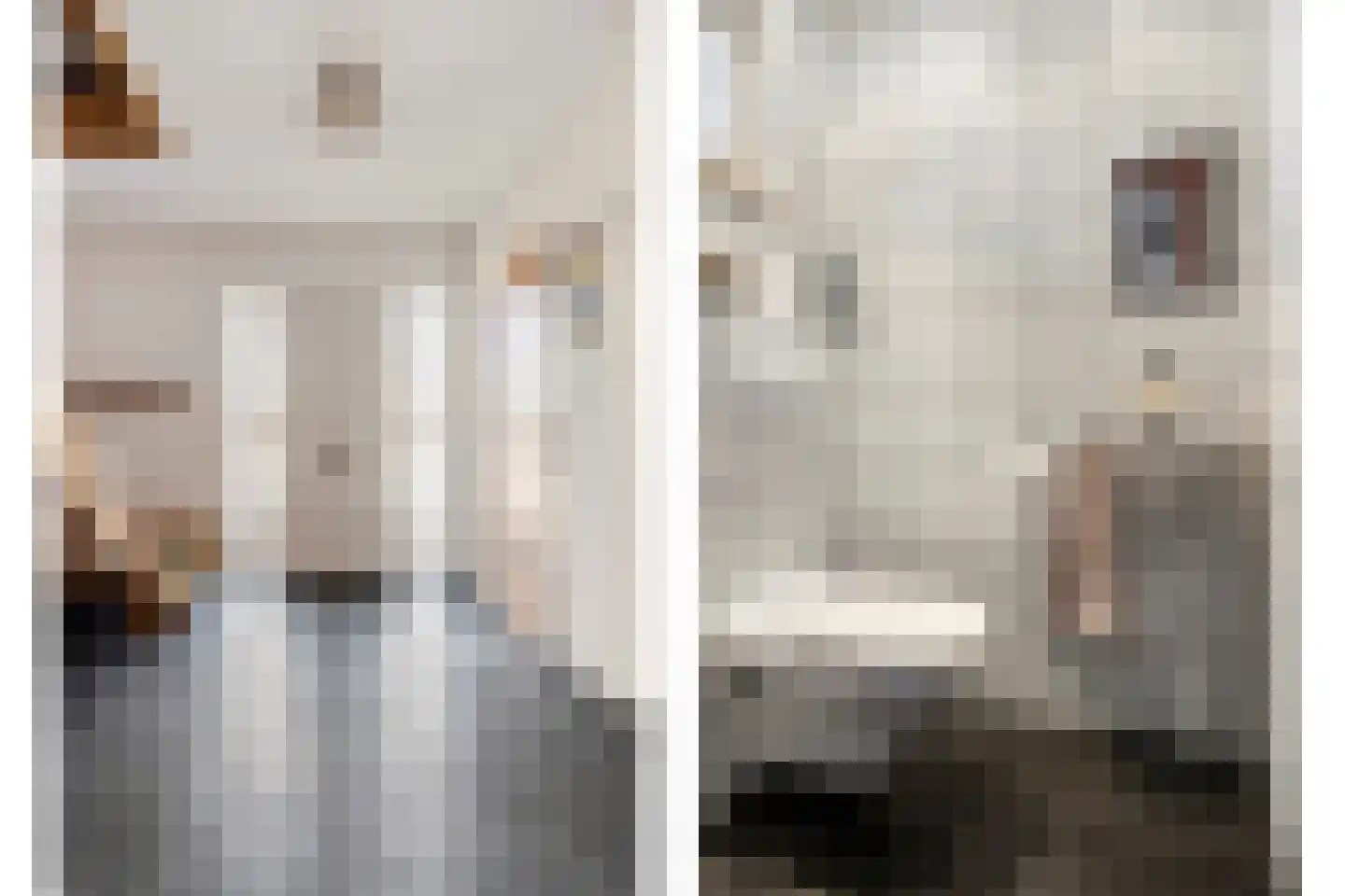 Peutzstraat 56 Heerlen thumbnail 6