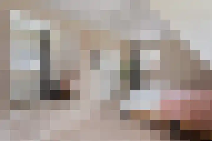 Peuverstraat 27 Geesteren thumbnail 13
