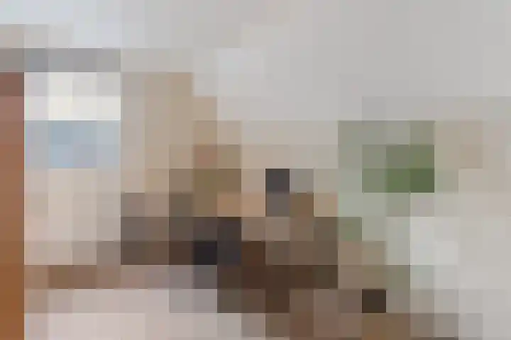Peuverstraat 27 Geesteren thumbnail 16