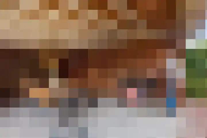 Peuverstraat 27 Geesteren thumbnail 20