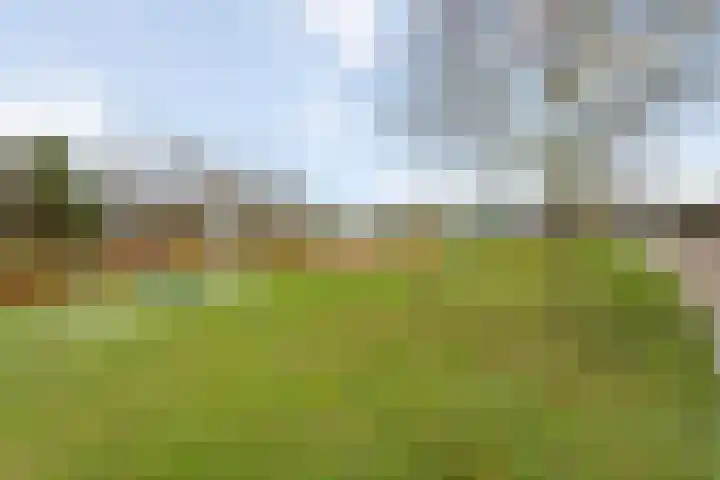 Peuverstraat 27 Geesteren thumbnail 21