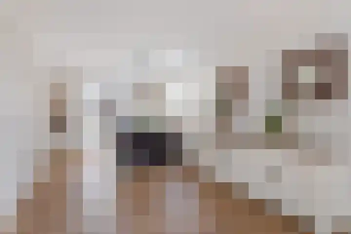 Peuverstraat 27 Geesteren thumbnail 9
