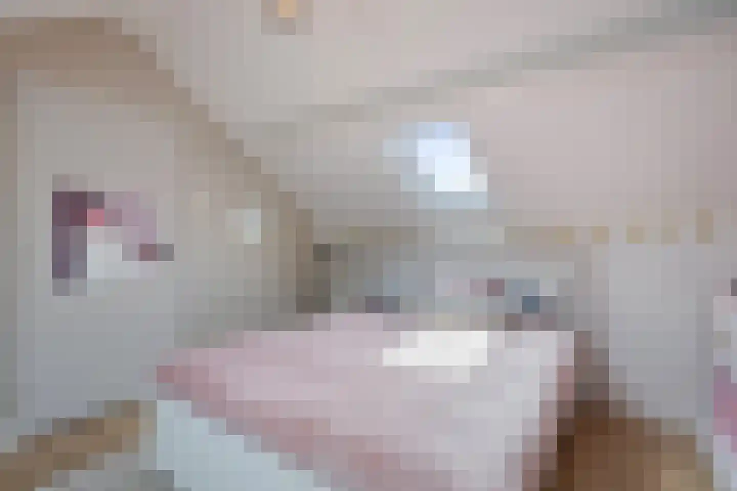 Peymeestersdreef 25 Maastricht thumbnail 18