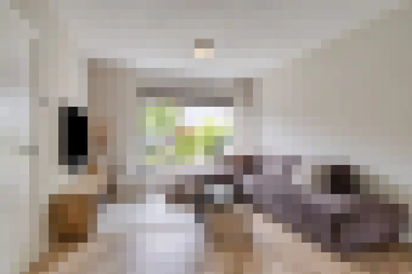 Peymeestersdreef 25 Maastricht thumbnail 5
