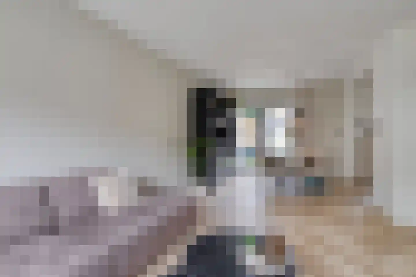 Peymeestersdreef 25 Maastricht thumbnail 6