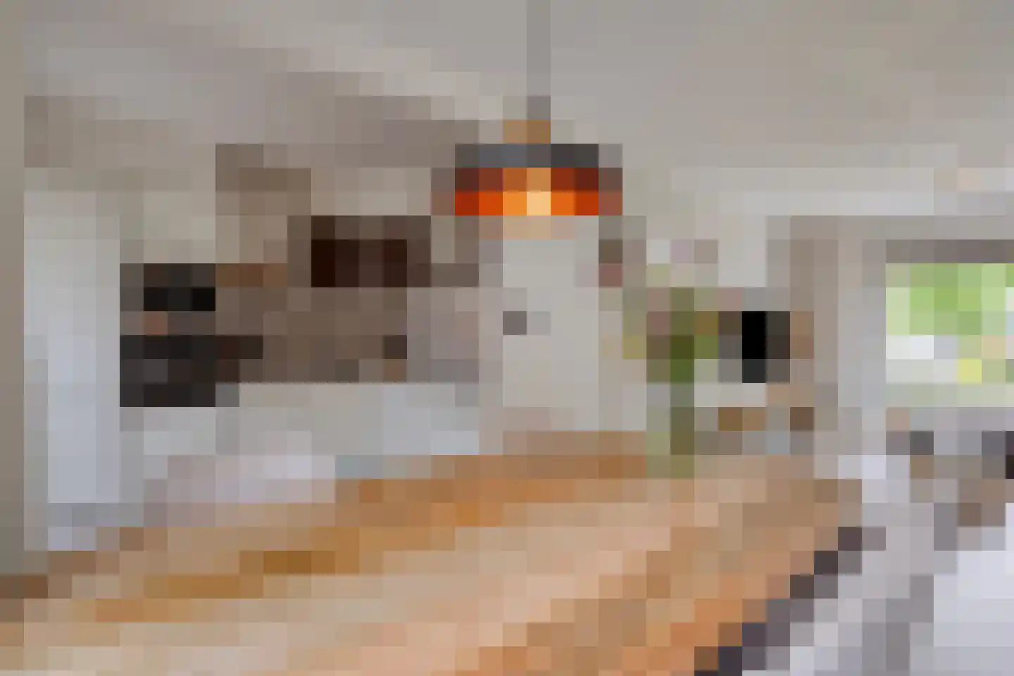 Peymeestersdreef 25 Maastricht thumbnail 9