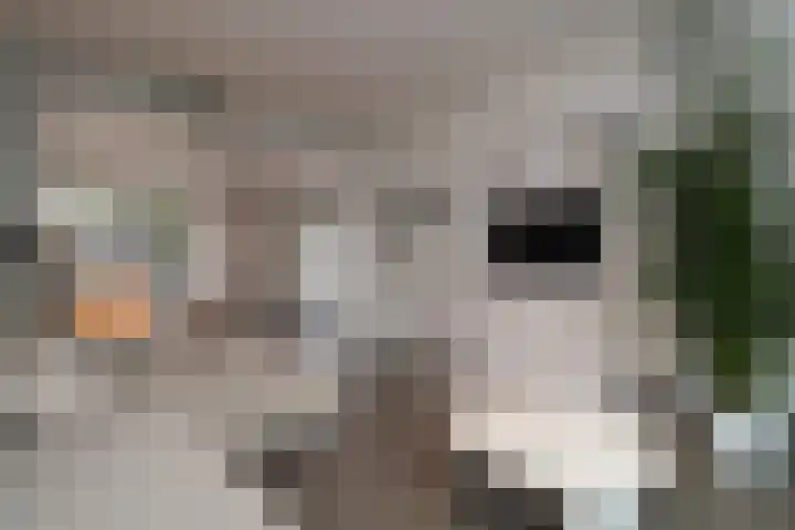 Peymeestersdreef 31 Maastricht thumbnail 12